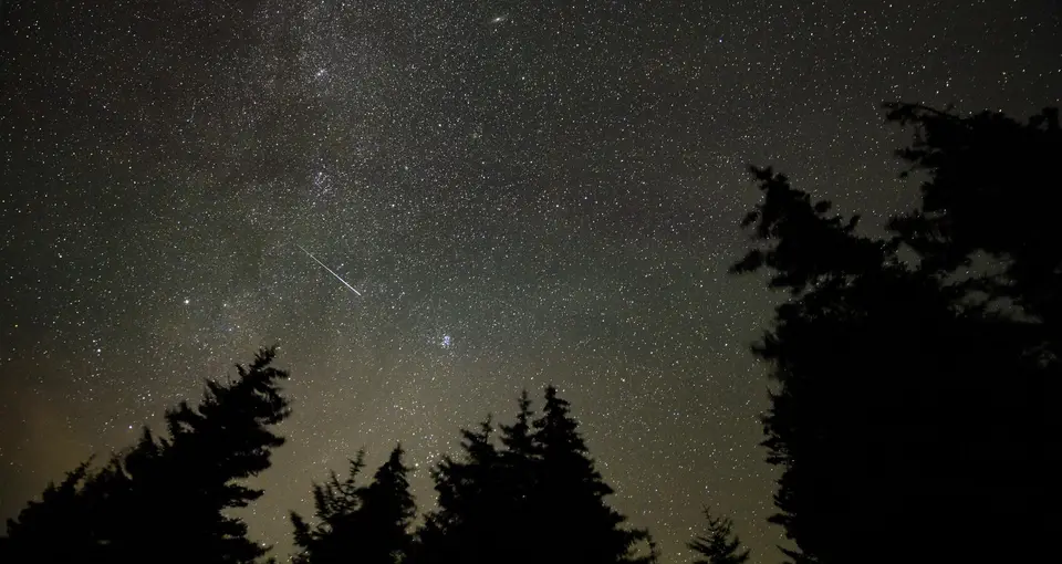 A bright meteor streaks across a starry night sky above dark trees.